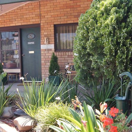 Ningana Motel Mudgee Esterno foto