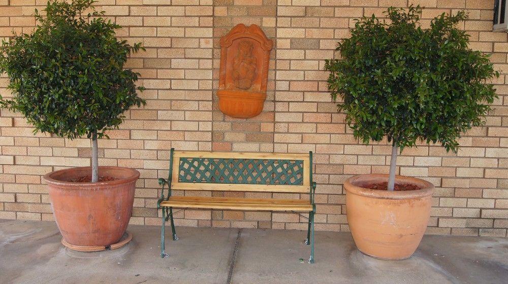 Ningana Motel Mudgee Esterno foto